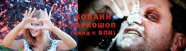 крисы Верея