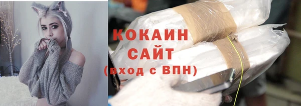 крисы Верхний Тагил