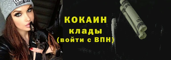крисы Верея