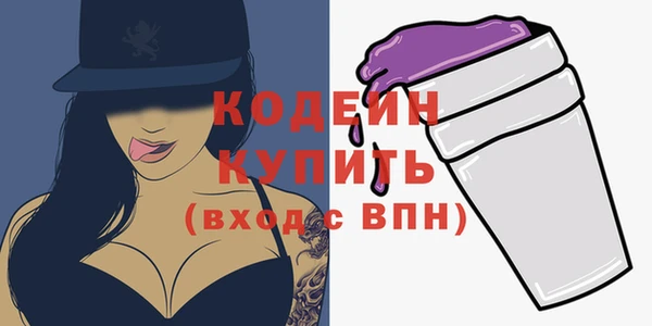 ешки Пересвет