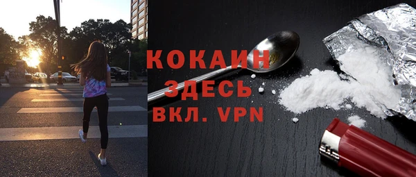 крисы Верея
